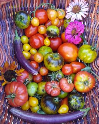 produce basket